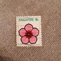 Сингапур. Флора. Цветы