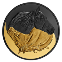 Канада 20 долларов 2020г. "Черное и золотое: Канадская лошадь - Инь и Ян". Родий и Позолота. Монета в капсуле; подарочной футляре; номерной сертификат; коробка. СЕРЕБРО 31,39гр.(1 oz).