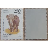 Россия 1993 Фауна мира.Индийский слон