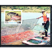 Куба - 2008г. - Рыбы, аквакультура. Рыбалка - полная серия, MNH [Mi bl. 237] - 1 блок