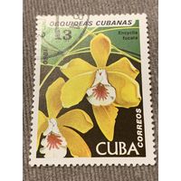 Куба 1980. Цветы. Encyclia Fucata. Марка из серии