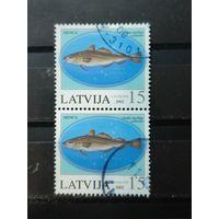 Латвия 2002г. Сцепка