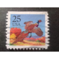 США 1988 стандарт, птица