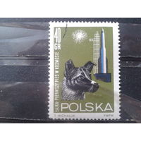 Польша 1964  Собаки в космосе