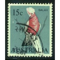 Австралия 1966 Mi# 369 Розовый какаду . Гашеная (AU09) н/с