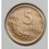 Польша 5 грошей 1949 г. В холдере