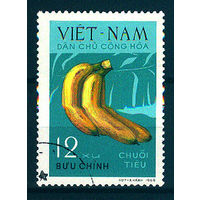 1969 Северный Вьетнам. Бананы