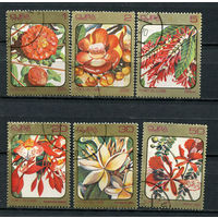Куба - 1984 - Цветы - [Mi. 2836-2843] - полная серия - 6 марок. Гашеные.  (Лот 61CO)(BB)