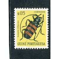 Португальская Гвинея. Фауна. Жуки