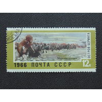 СССР 1966 г. Морские котики.
