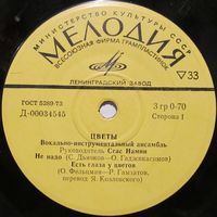 ВИА ''Цветы'' (Не надо) (7'')