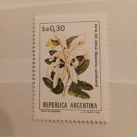 Аргентина. Флора. Bauhinia candicans