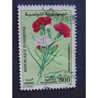 Тунис 1999 г. Цветы.