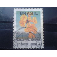 Бразилия 1992 Цветы, одиночка