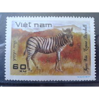 Вьетнам 1981 Зебра**