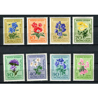 Монголия - 1960 - Цветы - [Mi. 184-191] - полная серия - 8 марок. MNH.