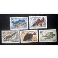 СССР 1983 г. Морские рыбы. Фауна, полная серия из 5 марок #0202-Ф1