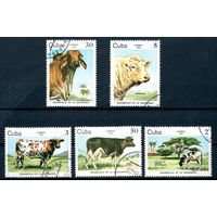 Фауна Коровы Куба 1984 год серия из 5 марок