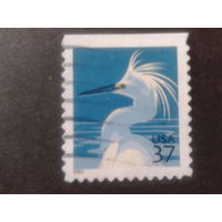 США 2003 стандарт, птица