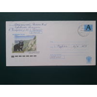 Россия 2004 медведь хмк, прошедшее почту