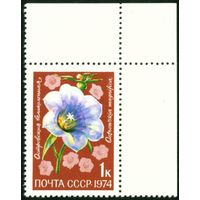 Цветы СССР 1974 год 1 марка