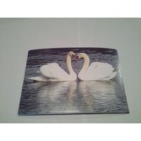 Карточка 1996 лебедь