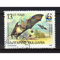1989 Болгария. Летучая мышь