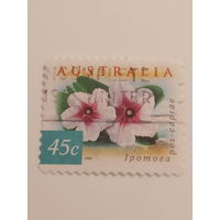 Австралия 1999. Флора. Цветы. Ipomoea pes Caprae