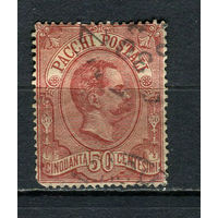 Королевство Италия - 1884 - Посылочная марка - Король Умберто I 50С - [Mi.3pt] - 1 марка. Гашеная.  (LOT Du20)