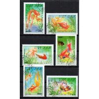Вьетнам 1990 Фауна Золотые рыбки рыбы Серия 6 марок гаш.
