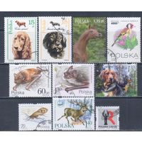 [333] Польша.Фауна. 10 гашеных марок.