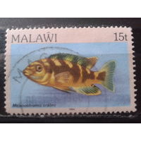 Малави 1984 Рыба