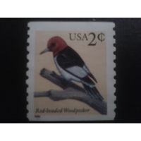 США 1999 птица