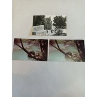 Краснодар, краснодарский край, фото открытки