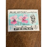 Малайзия 1965. Цветы. Vanda Hookeriana. Марка из серии