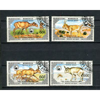 Монголия - 1966 - Фауна - (пятна на клее) - [Mi. 1815-1818] - полная серия - 4 марки. Гашеные.  (LOT Du29)(BB)