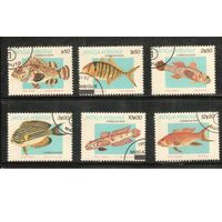 Мозамбик-1979 (Мих.706-711) гаш. , Фауна, Рыбы (полная серия)