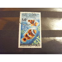 1966 колония Французский Берег Сомали фауна моря рыбы отличная сохранность (5-1)
