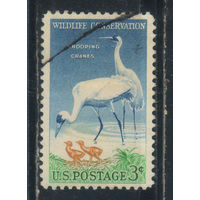США 1957 Охрана природы Стерх  #721