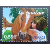 Франция 2006 лошадь