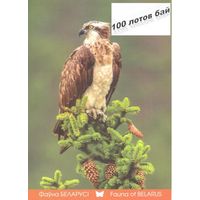 Беларусь 2016 Открытки Посткроссинг фауна птицы