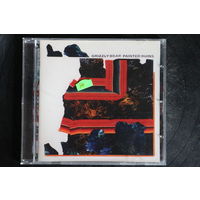 Grizzly Bear – Painted Ruins (2017, CD)