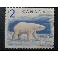 Канада 1998 белый медведь