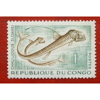 Конго. Фауна. ( 1 марка ) 1961 года. 6-11.