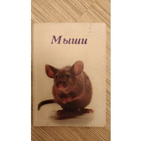 ''Мыши'', - брошюра о грызунах