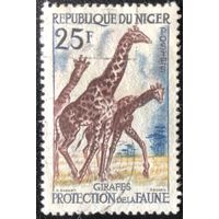 Нигер. 1959 год. Первая марка независимой страны, см описание. Жираф из серии Охрана дикой природы. Mi:NE 7. Почтовое гашение.