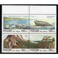 Фауна Природа Россия 1995 год (203-206) серия из 4-х марок в квартблоке