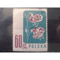 Польша 1957 Цветы