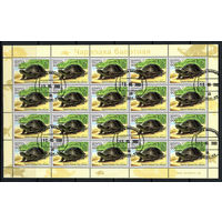 Черепаха болотная(499)