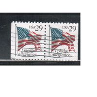 США-1992, (Мих.2314 D), гаш. , Стандарт, Флаг, (одиночка), пара